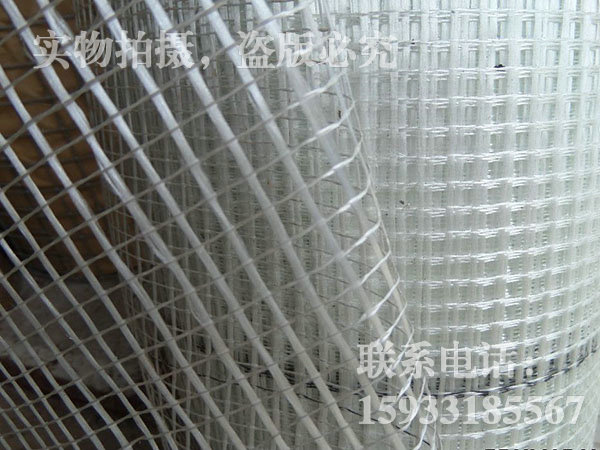 网格布 - 安平县鼎天丝网制品有限公司图片4